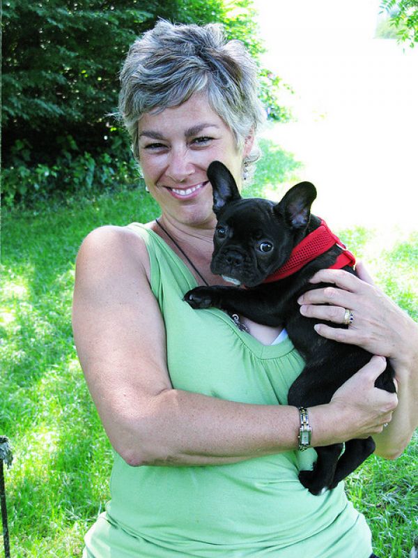 Franzsische Bulldoggen-Welpen 