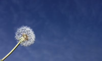 Allergiebehandlung - schnell und effizient