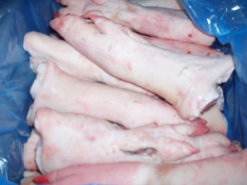 Schweine Hinterpfoten 