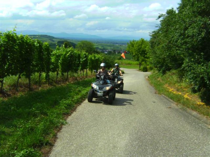 Gefhrte Panorama Quadtour Kaiserstuhl - Tuniberg