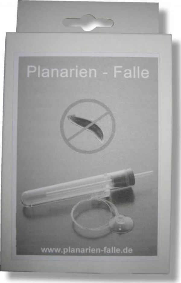Planarienfalle gegen Planarien im Aquarium mit Garnelen / Planarien Falle