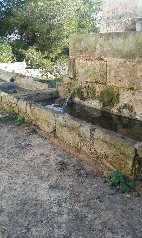 Mallorca - Arenal - Landhuser und Finca
