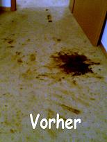 Profi Polstermbelreinigung, Teppichbodenreinigung, Hannover